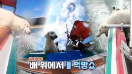 튀는 물만 먹개, 강물 먹방쇼하는 기봉이 | ZUM TV