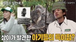 ‘동물 애호가’ 이상이, 코알라의 궁금증을 해결하기 위한 끝없는 질문★ | ZUM TV