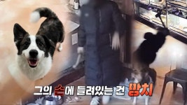 영양의 빛깔 좋은 고추로 만든 엄마손표 오리 볶음탕! | ZUM TV