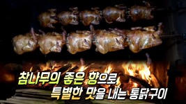 비주얼 폭발♨ 장작구이 통닭의 맛의 비법! ‘참나무 장작’ | ZUM TV