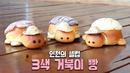 새콤달콤한 크림 듬뿍! 3색 거북이 빵★ | ZUM TV