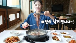 봄 바다의 명물 태안의 ‘쫄깃×고소’ 낙지 한 상☆ | ZUM TV