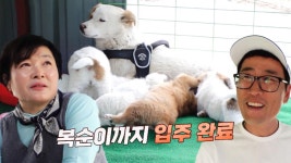 복순이네 구조 성공! 따뜻한 복순이네 새 보금자리 | ZUM TV