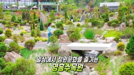 일상에서 즐기는 도심형 생태 수목원! 영흥수목원★ | ZUM TV