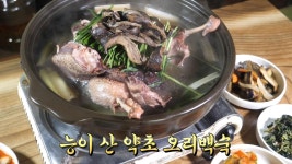 보양식의 최강자! 진한 국물의 능이 산 약초 오리백숙 | ZUM TV