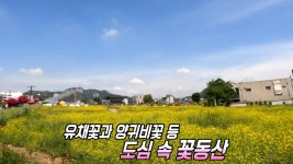 ‘한옥 길 따라 즐긴다’ 100년 만의 개방 열린송현 녹지광장 | ZUM TV