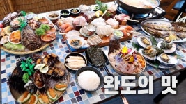 ‘1인 59,000원’ 자주 접하지 못했던 다양한 생선회 한가득! | ZUM TV