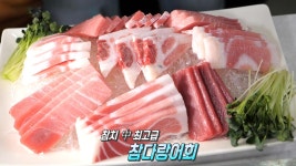 선명한 마블링 담은 ‘바다의 황제’ 참치! | ZUM TV