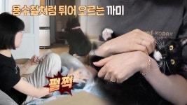 끝나지 않는 악몽, 시도 때도 없이 일어나는 이상행동 ‘까미’ | ZUM TV