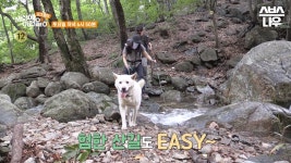 [예고] 깊은 산 속 험한 산길? 나에게 맡겨주개🐶 상원사 안내견 흰둥이 #WhatonEarth | SBSNOW | ZUM TV