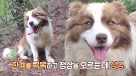 슬럼프 ‘몽이’의 열정을 되살려 줄 등산 단짝 방문! | ZUM TV