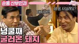 [#순풍산부인과] 넝쿨째 굴러온 돼지🐽 돼지꿈에 숨은 부자되는 공식💸 이것만 알면 재물운은 나의 것ㅣ605화 | ZUM TV