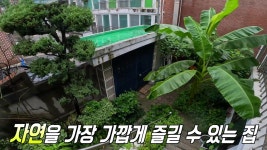 자연인을 꿈꾸는 남자의 푸른 마당 집! | ZUM TV