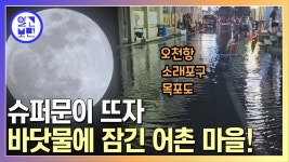 갯벌 해루질 주의! 태풍도 없었는데 도로까지 차오른 바닷물... 대체 왜? | ZUM TV