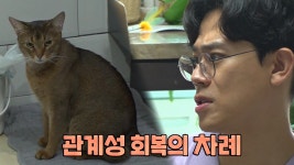 원수냥을 친구냥으로 만들어 줄 고양이 전문가 금쪽 처방! | ZUM TV