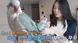 가사 숙지 완벽! 노래 신동 ‘앵무새 꾸꾸’ | ZUM TV