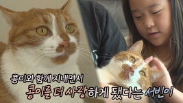 미용실 뻔냥이 ‘콩이’의 묘생역전 스토리★ | ZUM TV