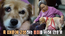 혹 난 봉희를 위한 세상에 단 하나뿐인 꼬까옷 | ZUM TV