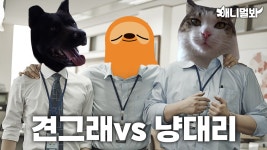 정육점 영업사원 냥대리...견그래 등장에 극대노ㅣButcher Shops Salesman Catto.. Rage At The Appearance of Doggo Newbie | ZUM TV