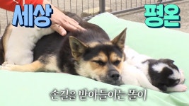 똘이네 가족을 위해 새롭게 마련한 포근한 보금자리★ | ZUM TV