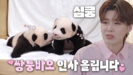 ‘쌍둥바오’ 루이바오×후이바오, 바오 패밀리 대공개★ | ZUM TV