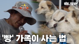 강아지 예절 교육이라고 들어봤나?ㅣDid You See Doggo Getting An Etiquette Education? | ZUM TV