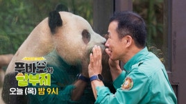 [SBS 동물농장x애니멀봐] 푸바오와 할부지ㅣ4부 예고 | ZUM TV