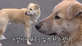 수납 고수가 알려주는 봄맞이 ‘옷장 정리’ 꿀팁 (하우스) | ZUM TV