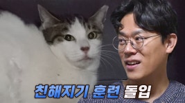 불청객 고양이 ‘별이’와 가족 되기 위한 특급 솔루션★ | ZUM TV