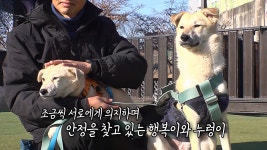 ‘누렁이’와 ‘행복이’의 견생 2막 위한 특별한 훈련★ | ZUM TV