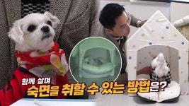 할머니와 다솜이의 편안한 숙면 위한 솔루션★ | ZUM TV