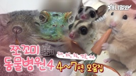 [쪼꼬미 동물병원 시즌4] 내원 환자 모음집 Part.2 4~7편ㅣ[Animal Hospital for Tiny Animals 4] Compilation of Ep 4 to 7 | ZUM TV
