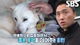 페루 혼열 한나가 소개하는 페루인들의 국민 푸드! (닥터의선물) | ZUM TV