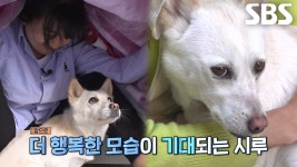 사람에 대한 신뢰도 낮은 ‘시루’ 마음 열기 위한 솔루션 | ZUM TV