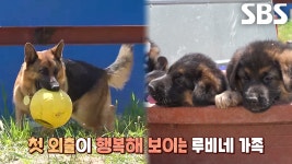 엄마 루비와 오둥이들의 특별한 농장 나들이★ | ZUM TV