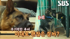 육아는 뒷전인 오둥이 엄마 루비의 사연 | ZUM TV