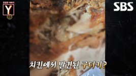 [예고] 불금에 빠질 수 없는 야식! 바로 치킨🍗 그런데 치킨에 구더기가 발견됐다고?!🤮 | 궁금한 이야기 Y | SBS | ZUM TV