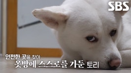 알파고급 정확한 섬세함 ‘손바느질 달인’ 大단한 미션! | ZUM TV