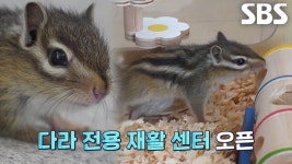 ‘수분 부족’이 부르는 어마 무시한 질환들! (화방) | ZUM TV