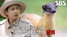 10년째 달콤한 동거중! 암자 꿀벌 대소동 | ZUM TV