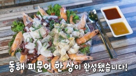 동해의 제왕! 바다의 신선함 가득한 피문어 한 상★ | ZUM TV