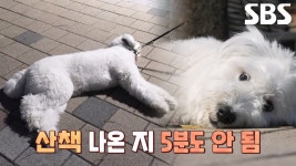 역대급 날‘라리’, 바닥과 물아일체 된 사연♨ | ZUM TV