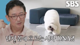 길고양이 목에 쪽지를 달자 생긴 영화 같은 일 ㅣ Hung A Note On The Stray Cats Neck And A Cinematic Thing Happened | ZUM TV