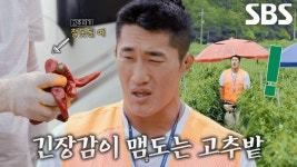 김동현, 고추밭 주인의 날카로운 검사에 머쓱! | ZUM TV