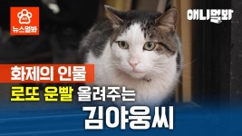 부자가 되고 싶어? 복권방 김야웅을 찾아가 봐! SBS뉴스멀봐 (2024.11.15)ㅣWant To Be Rich? Go Meet Meow Kim In Lottery Story!... 