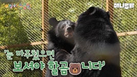 곰은 사람을..찢...아니 웃게해ㅋㅋㅋㅣ이상한동물원 E.01ㅣBears Tear Off Hu… Humors I Special Crnter For Animals Ep 1 | ZUM TV