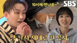 김호영, 제보한 ‘약속 지킨 고양이’ 영상에 포효↗ | ZUM TV