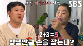 산수도 문제없는 천재 앵무새 ‘까칠이’ | ZUM TV