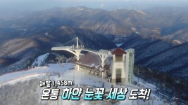 전국 최고 적설량! 순백의 눈꽃 세상 펼쳐지는 ‘대관령’ | ZUM TV