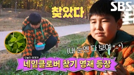 ‘행운을 나눠주는 사나이’ 네잎클로버 빨리 찾는 영재★ | ZUM TV